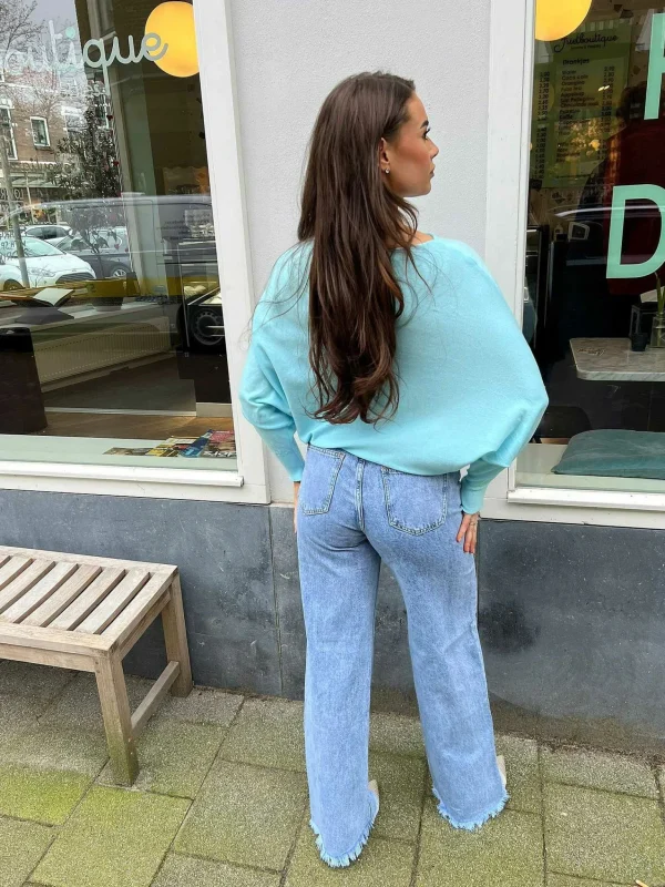 LOF Boutique Vlinder Trui Light Blue> Truien